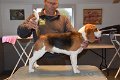 Afb_20171112_bruno (12)